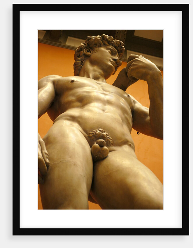 David, after the 16th century original by Michelangelo by Stuart Cox