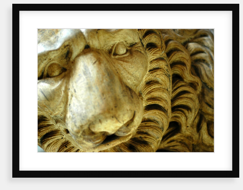 Lion, detail of a Pulpit by Stuart Cox