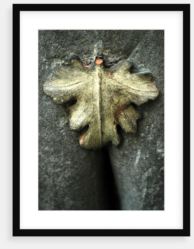 Fig leaf, detail from a chimneypiece from Palazzo Rusconi by Stuart Cox