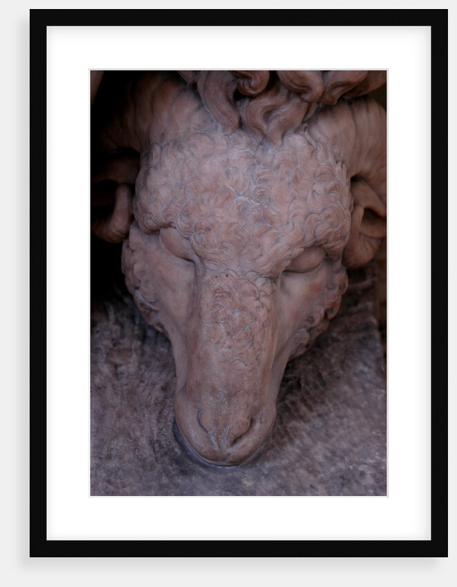 Jason and the golden fleece by Stuart Cox