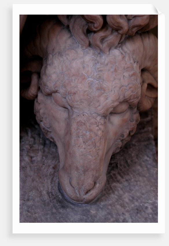Jason and the golden fleece by Stuart Cox
