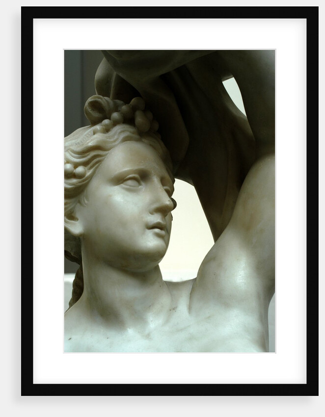 Venus, detail by Stuart Cox