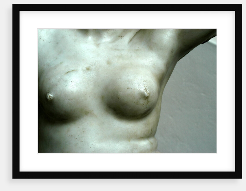 Venus, detail of breast by Stuart Cox