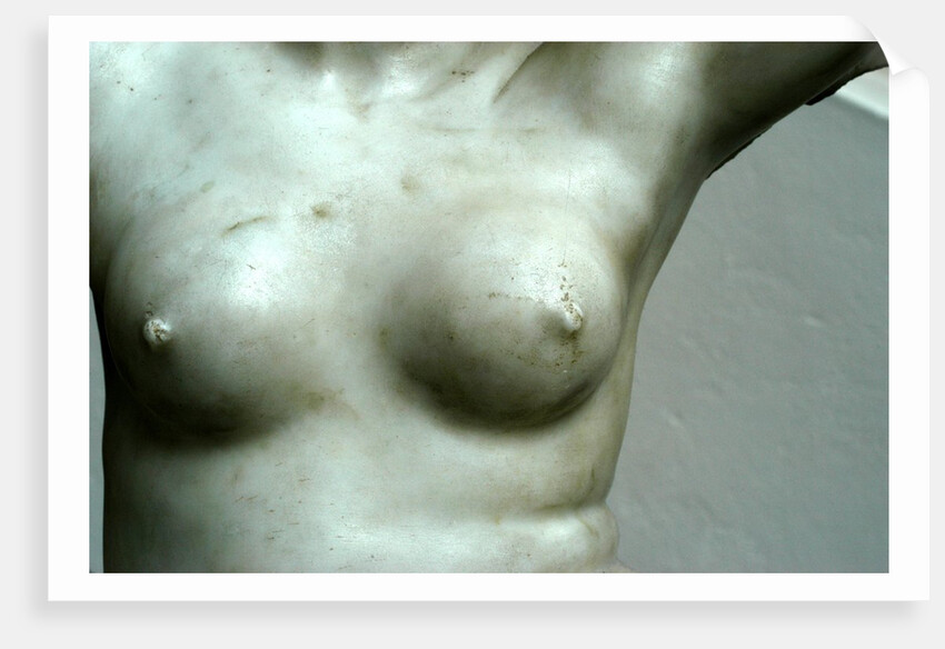 Venus, detail of breast by Stuart Cox