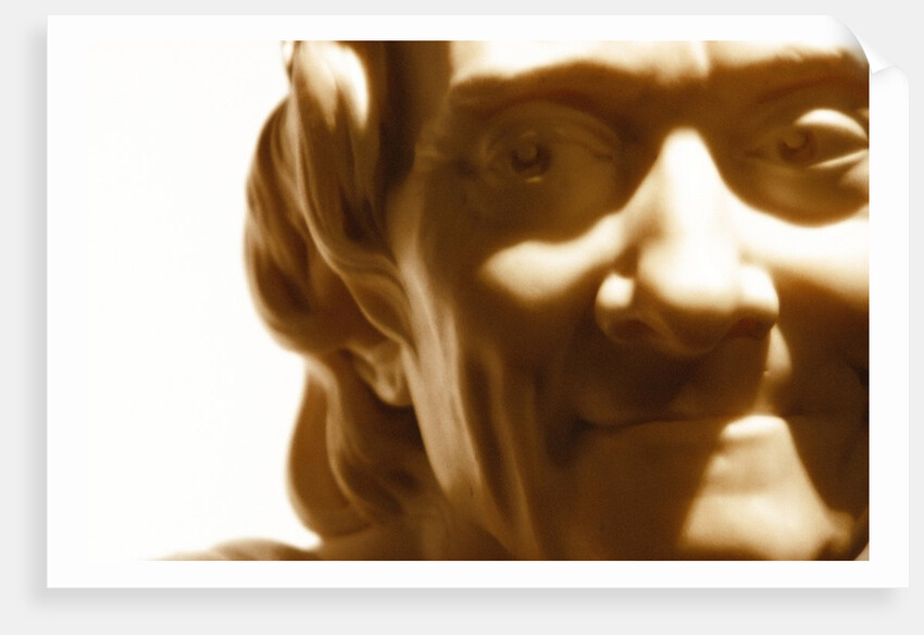 Francois Marie Aronet de Voltaire, detail by Stuart Cox