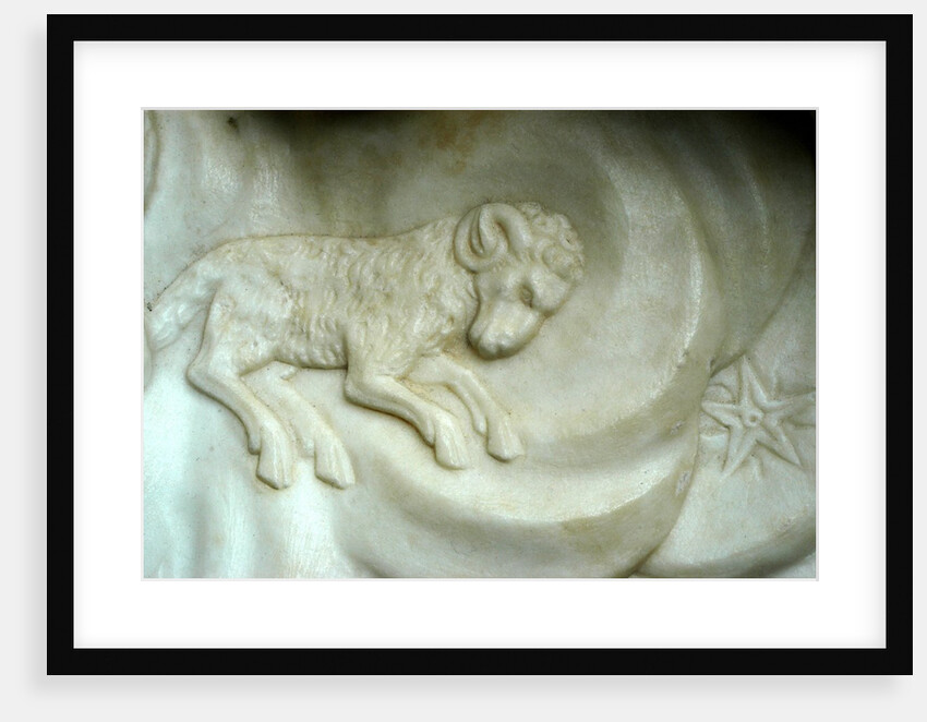 Aries by Stuart Cox