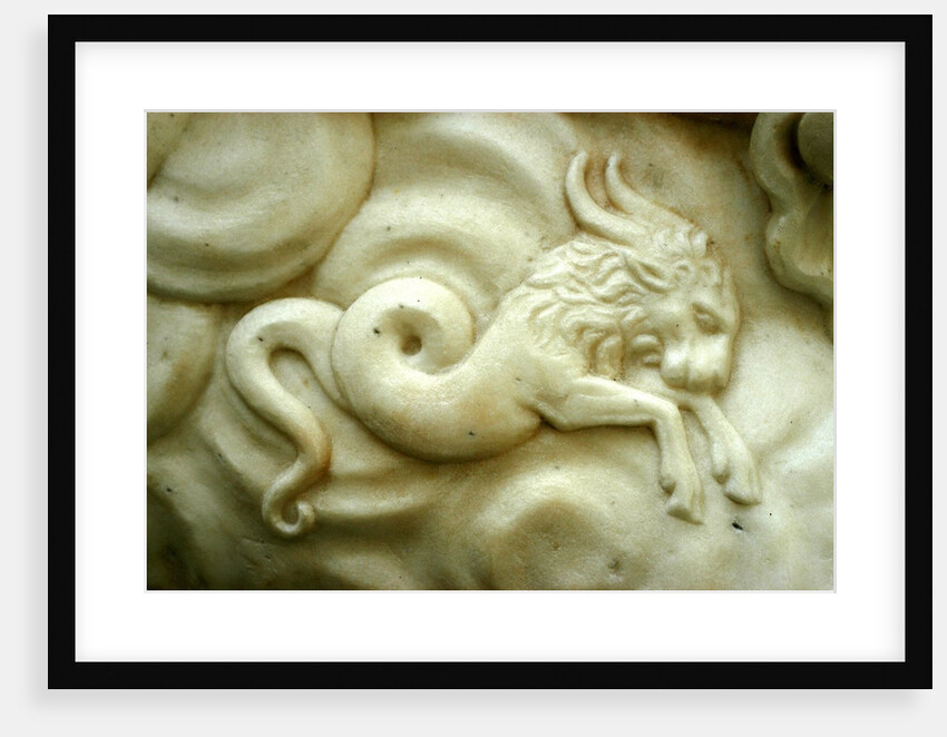 Capricorn by Stuart Cox