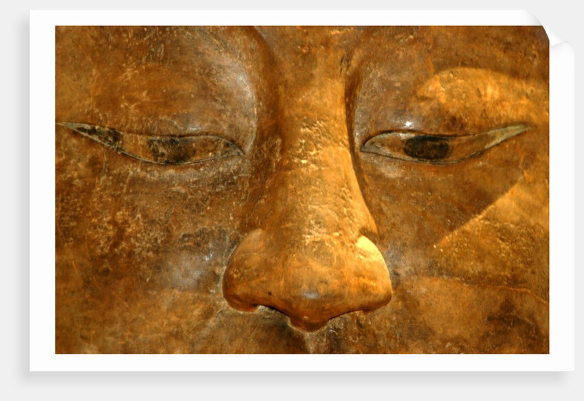 Head of the Buddha by Stuart Cox
