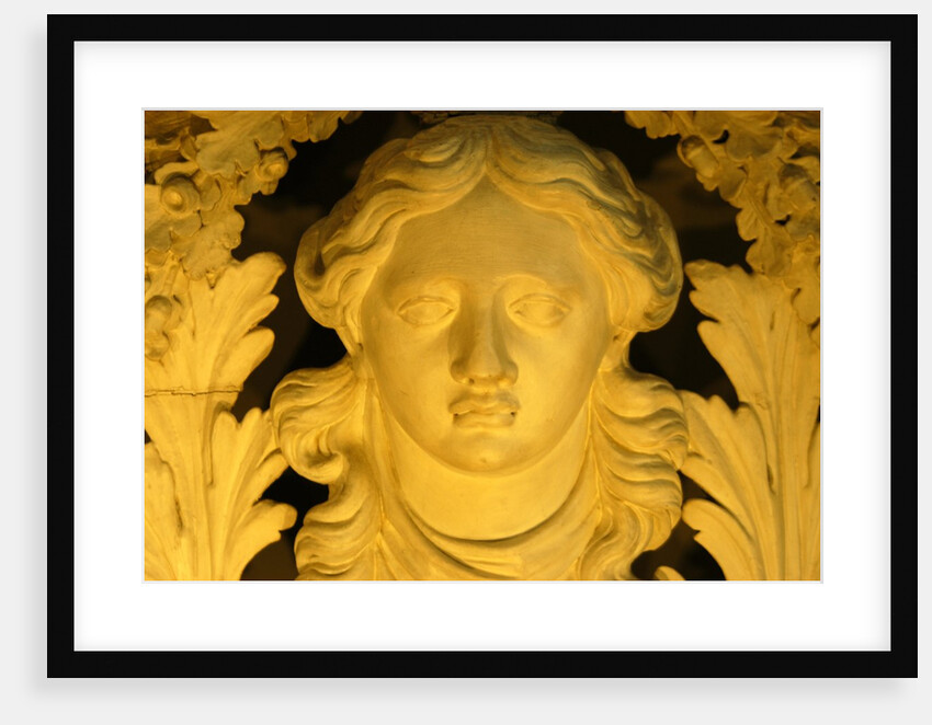 Diana, goddess of Hunting, detail by Stuart Cox