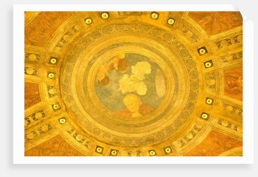 Casa Maffi, detail of ceiling by Stuart Cox