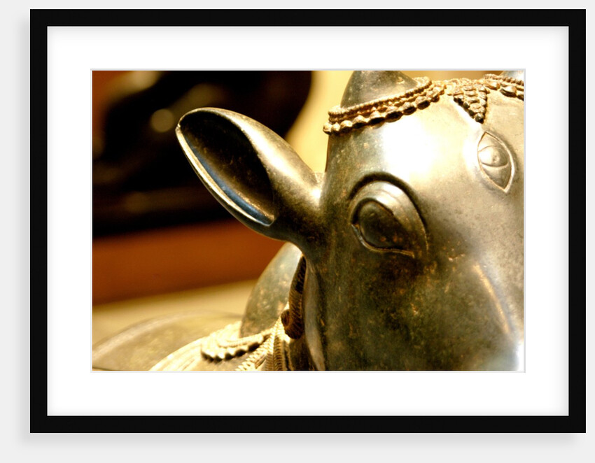 Nandi, detail by Stuart Cox