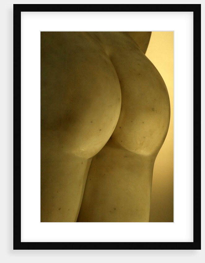 Castor & Pollux, detail by Stuart Cox