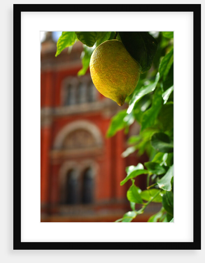 V&A Museum, John Madejski Garden, designed by Kim Wilkie by Stuart Cox