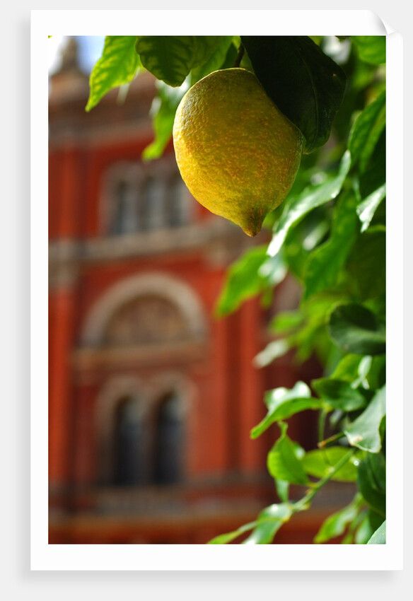 V&A Museum, John Madejski Garden, designed by Kim Wilkie by Stuart Cox