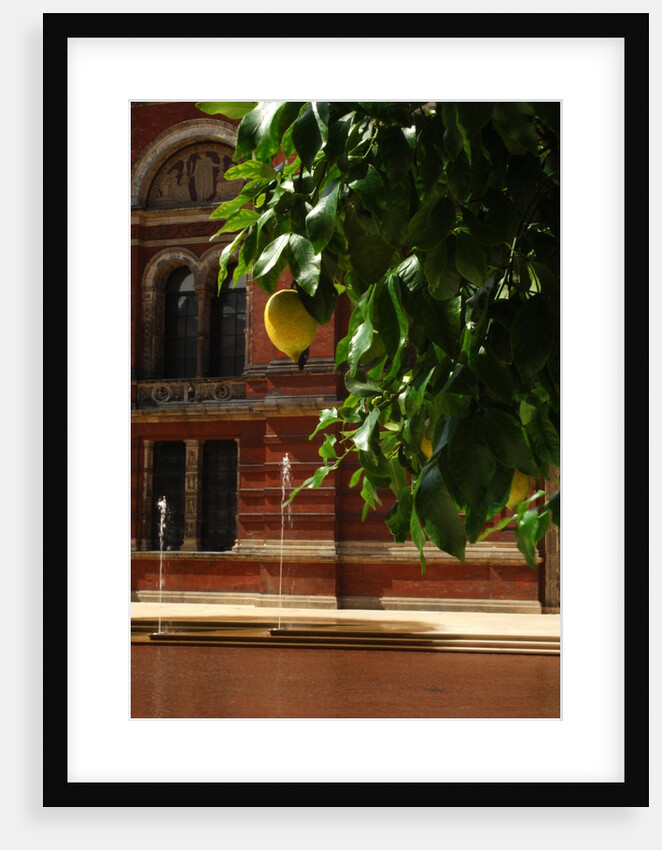 V&A Museum, John Madejski Garden, designed by Kim Wilkie by Stuart Cox