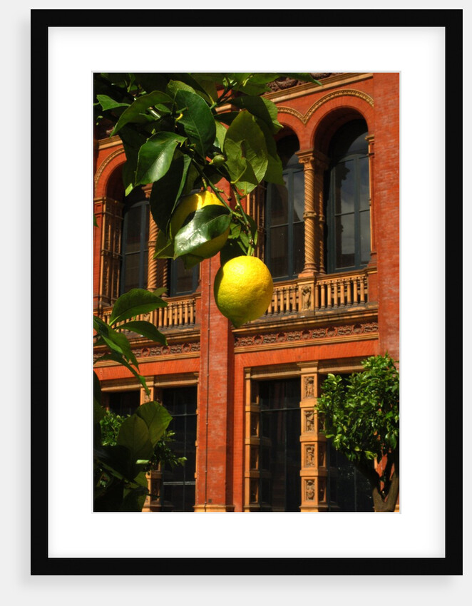 V&A Museum, John Madejski Garden, designed by Kim Wilkie by Stuart Cox