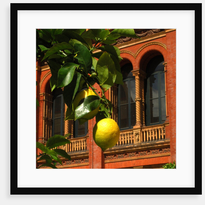 V&A Museum, John Madejski Garden, designed by Kim Wilkie by Stuart Cox