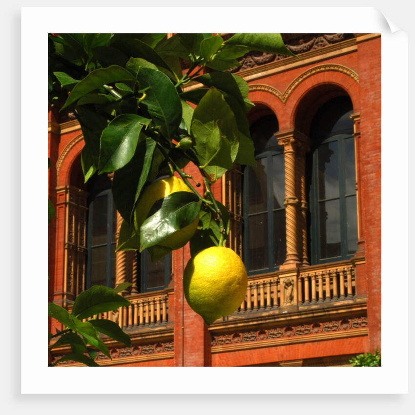 V&A Museum, John Madejski Garden, designed by Kim Wilkie by Stuart Cox