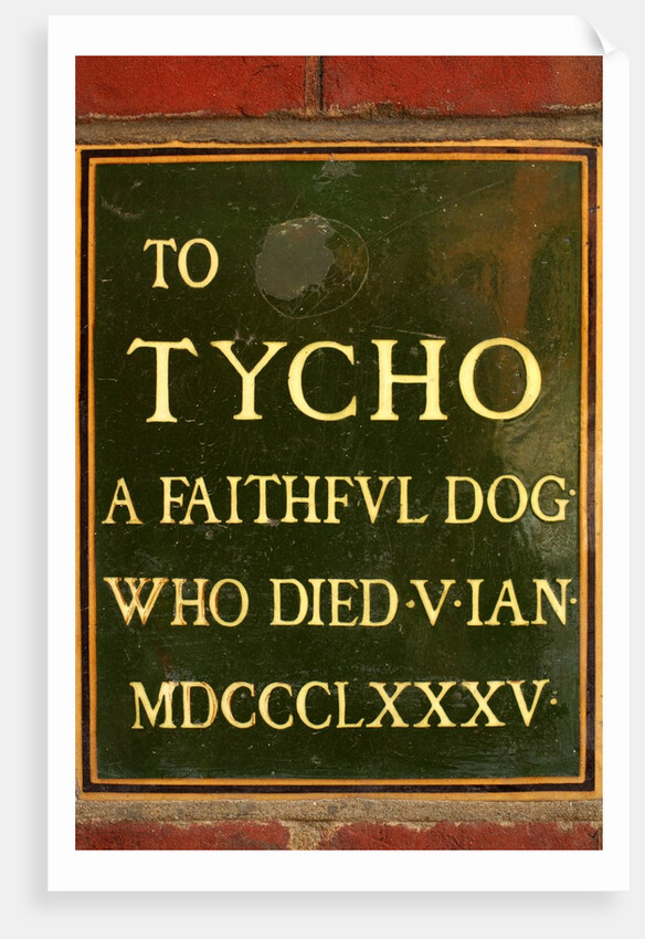 Plaque in memory of Tycho, pet dog of Sir Henry Cole, in the John Madejski Garden of the V&A Museum by Stuart Cox