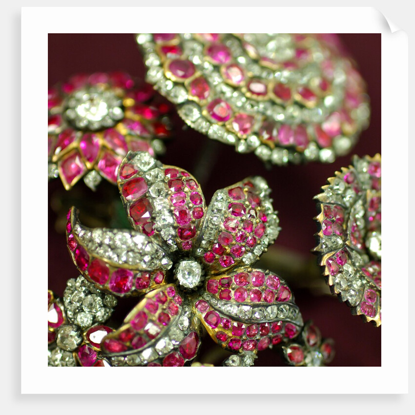 Spray ornament, detail by Stuart Cox