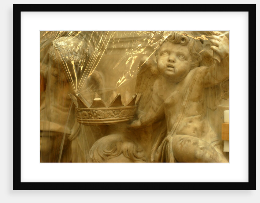 Memorial to Francis Musters in conservation by Stuart Cox