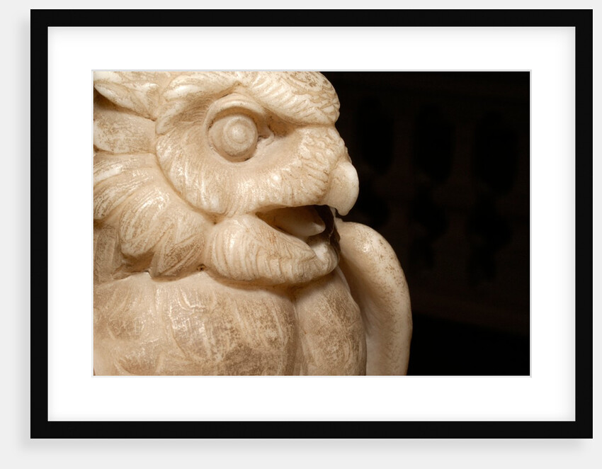 Owl by Stuart Cox