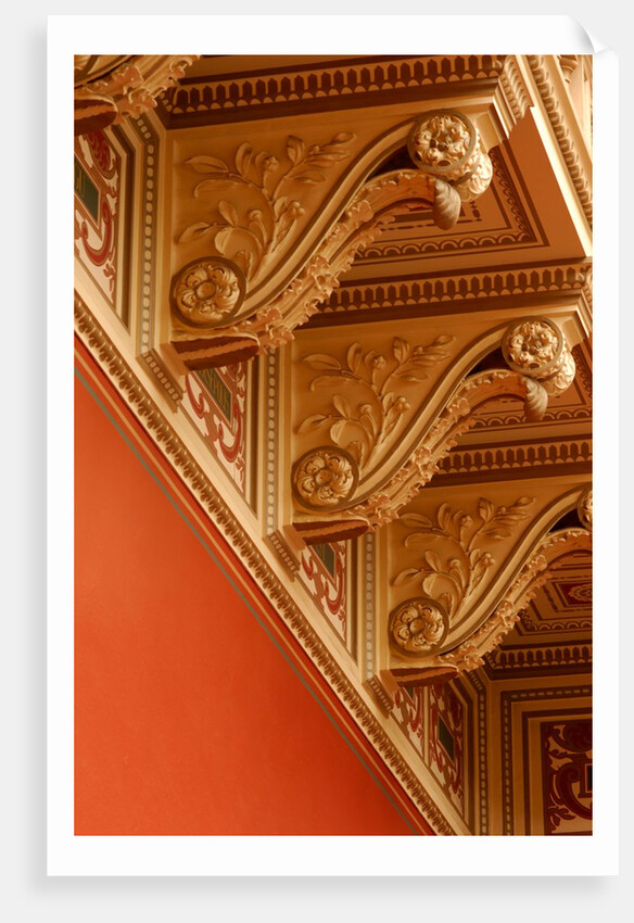 Ceiling cornice by Stuart Cox