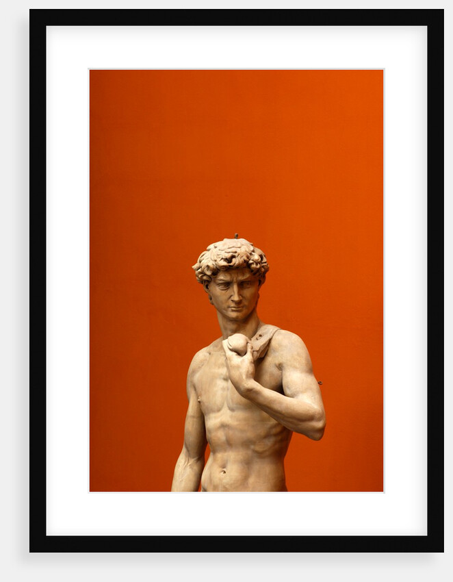 David by Stuart Cox
