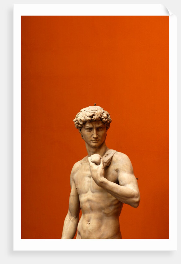 David by Stuart Cox
