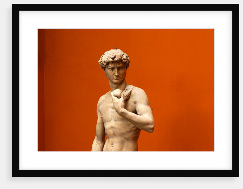 David by Stuart Cox