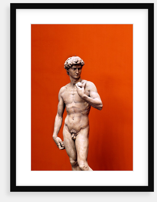 David by Stuart Cox