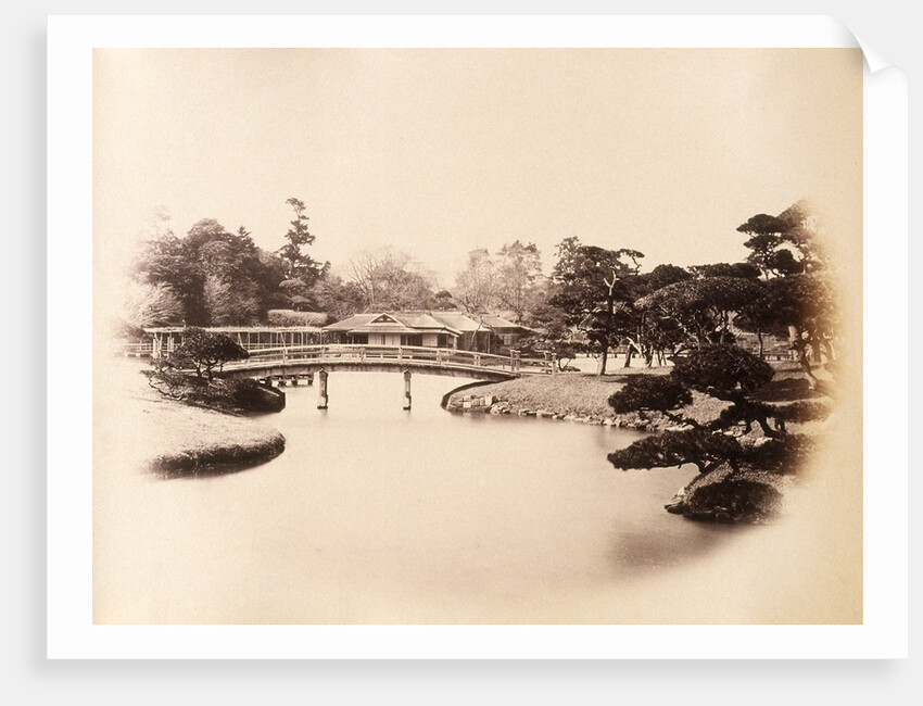 Part of a tycoon's garden at Edo (Tokyo) by Felice Beato