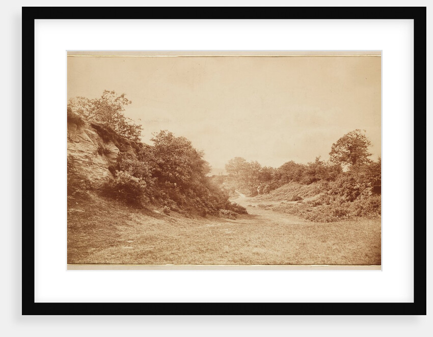 Culverdon Down by Henry Peach Robinson