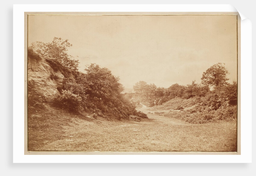 Culverdon Down by Henry Peach Robinson