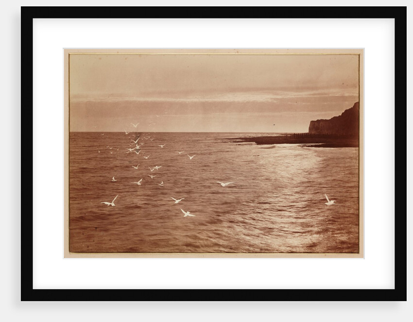 Seagulls by Henry Peach Robinson