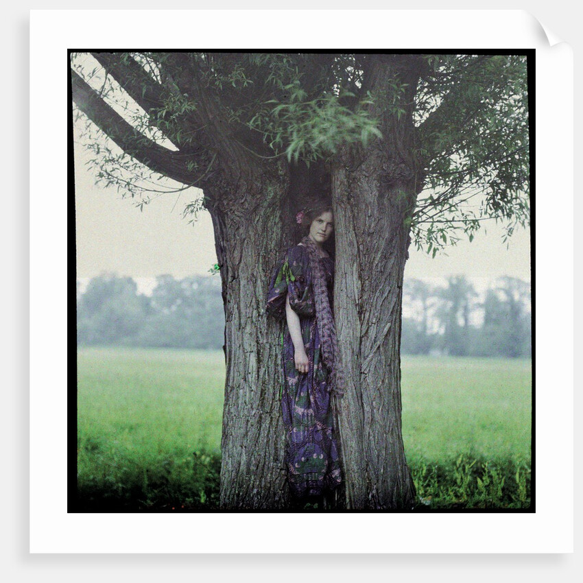 The Dryad by John Cimon Warburg