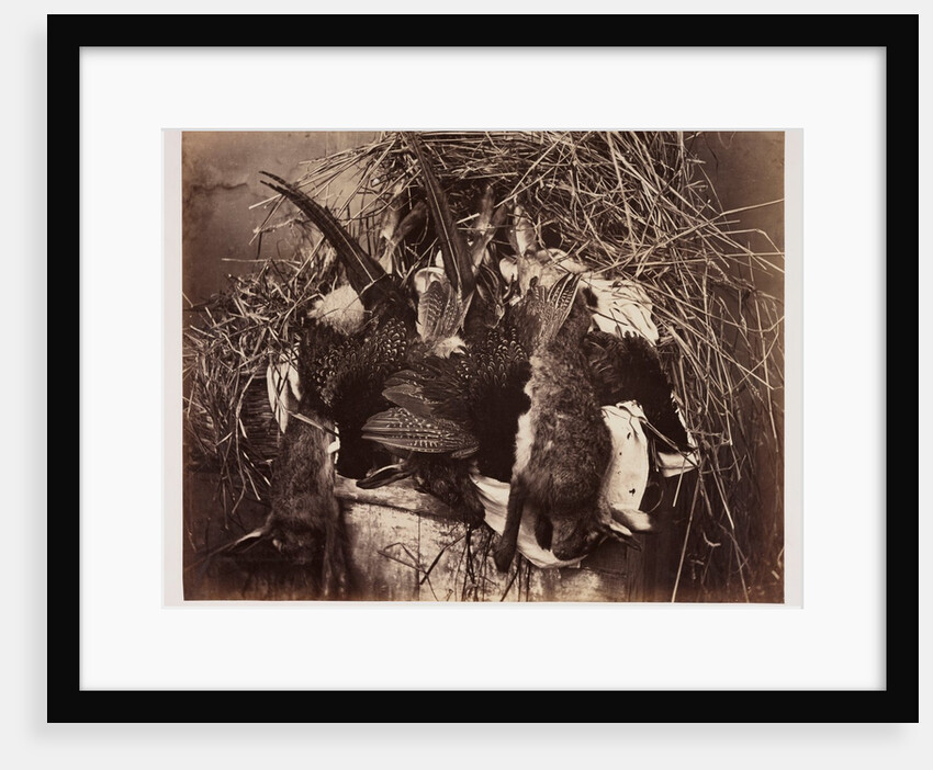 Fur and Feathers by Roger Fenton