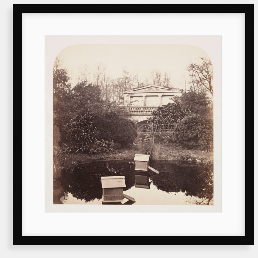Breeding Pool by Roger Fenton
