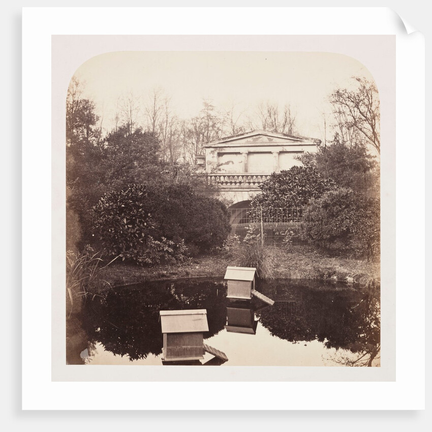 Breeding Pool by Roger Fenton