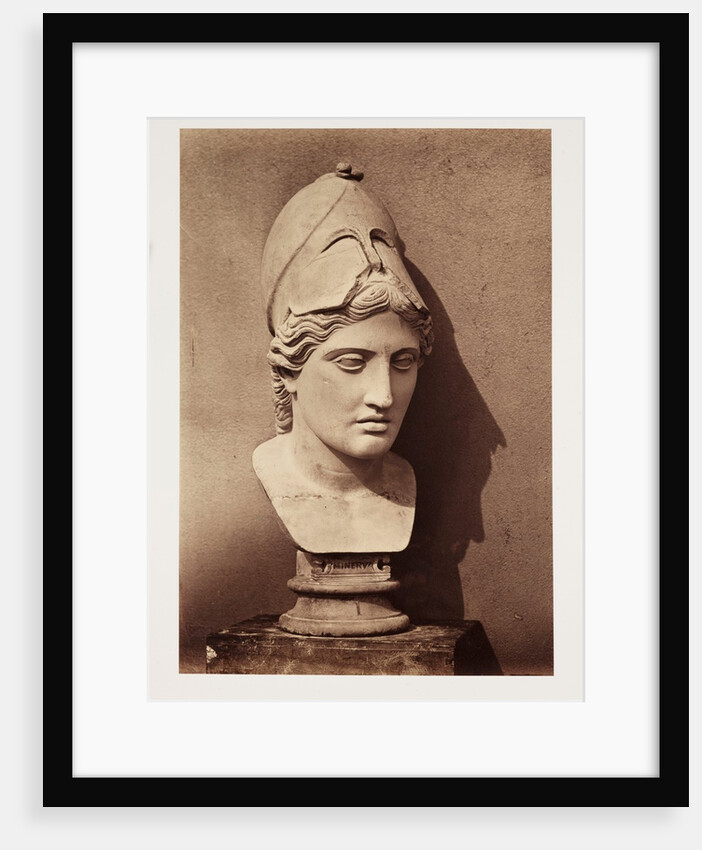 Head of Minerva by Roger Fenton
