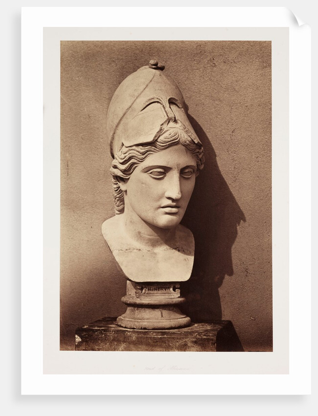 Head of Minerva by Roger Fenton