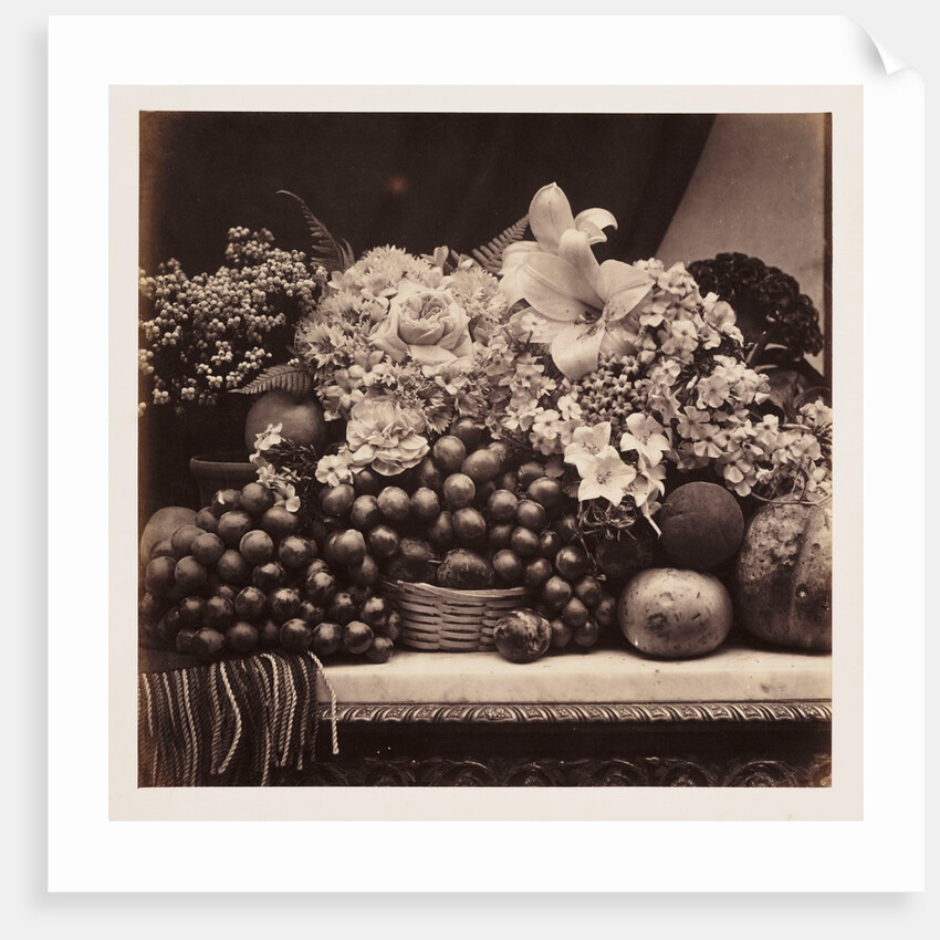 Flowers and Fruit by Roger Fenton