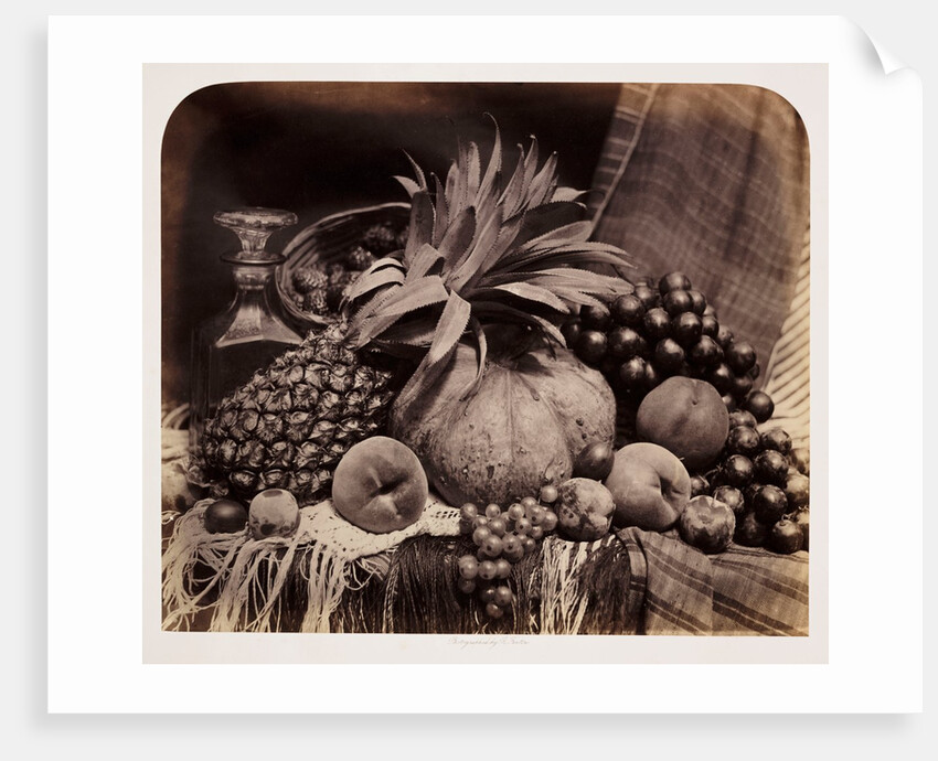 Still life of fruit by Roger Fenton