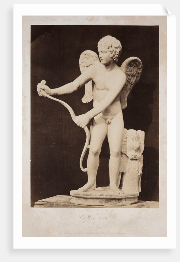Cupid by Roger Fenton
