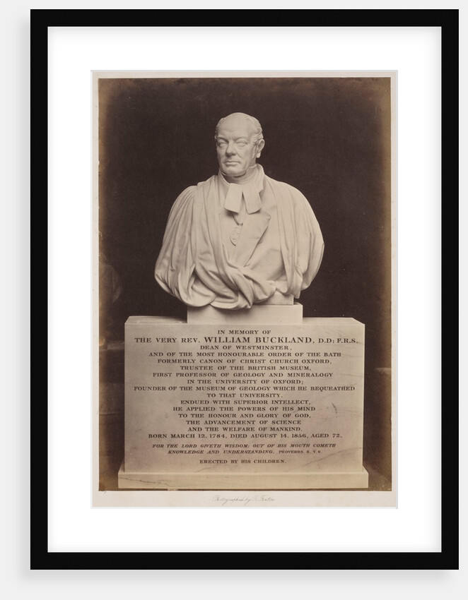 Bust of William Buckland by Roger Fenton