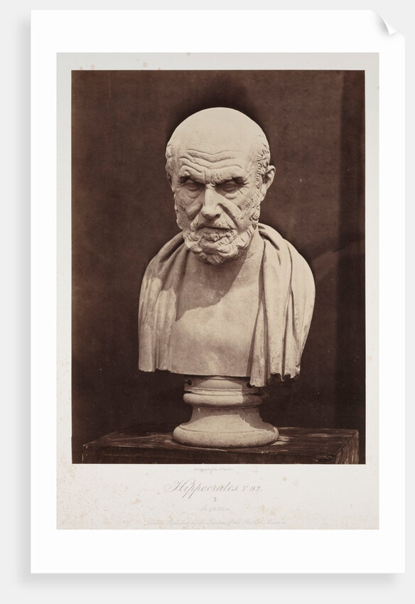 Hippocrates by Roger Fenton