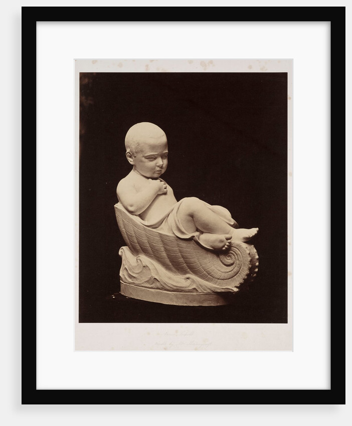 Prince Leopold by Roger Fenton