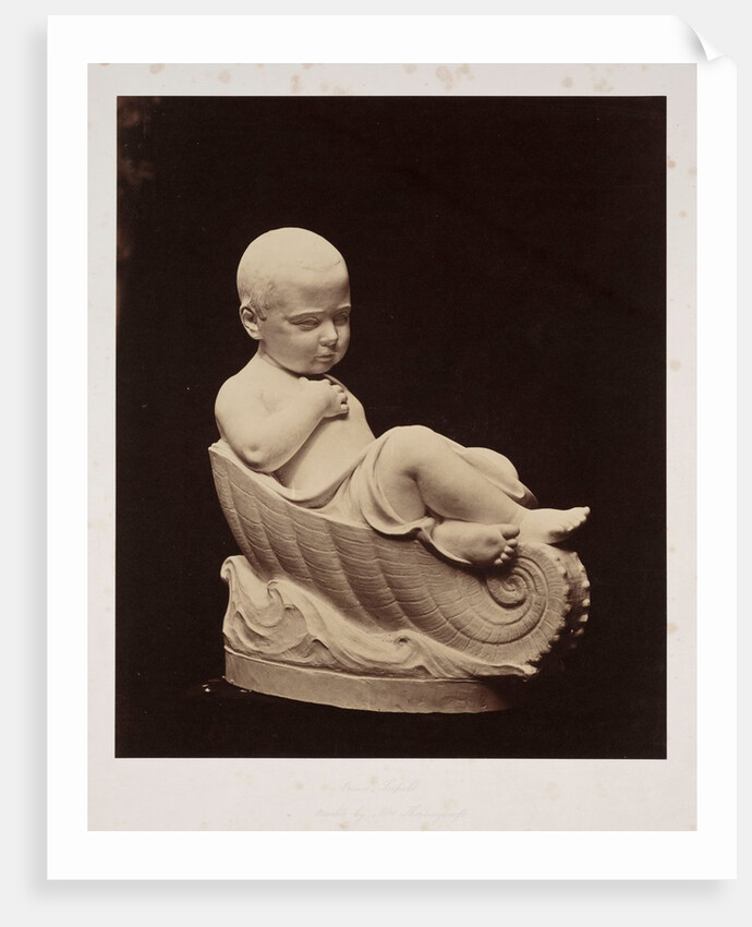 Prince Leopold by Roger Fenton