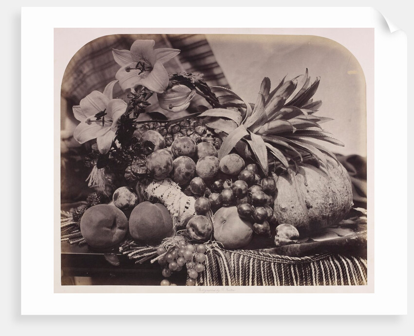 Fruit and flowers by Roger Fenton