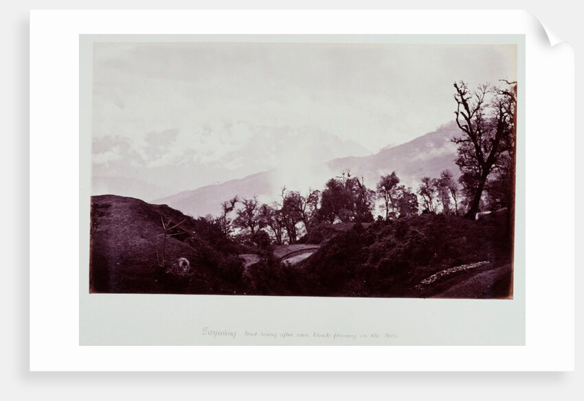 Darjeeling mist rising by Samuel Bourne